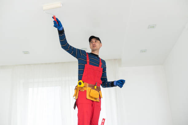 Best Drywall Sanding and Smoothing  in Princeville, HI